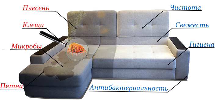 Химчистка диванов на дому в Москве